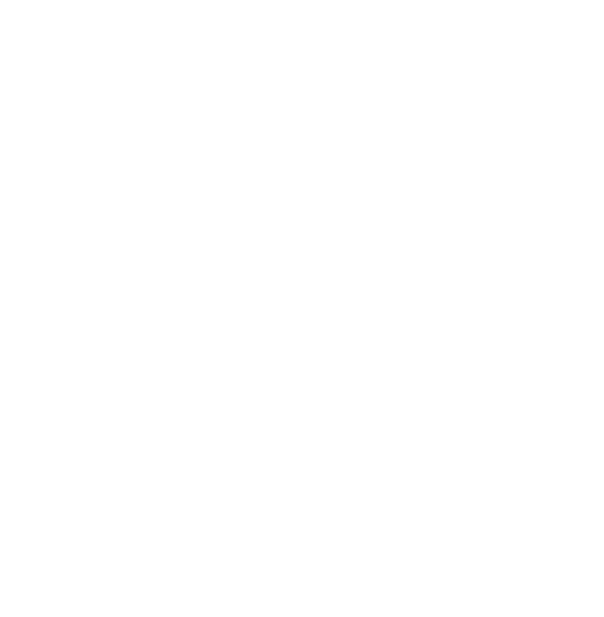 TikTok Logo